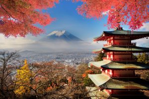 Top 5 Things to Do in Japan While You Still Can